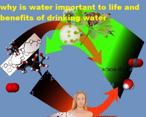 why is water important to life and benefits of drinking water